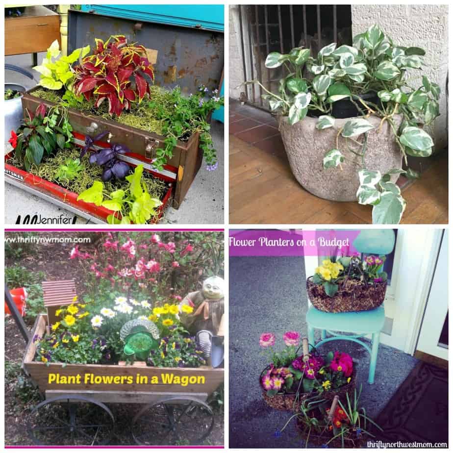 DIY For Your Garden