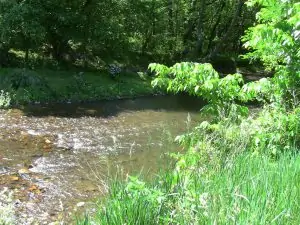 Middle Creek runs alongside Doubs Park