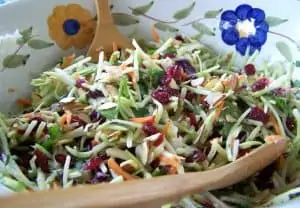 Broccoli Slaw Salad