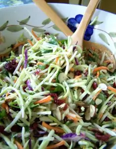 Broccoli Slaw Salad