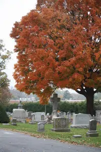 Historic Mount Olivet Cemetery in Frederick Md