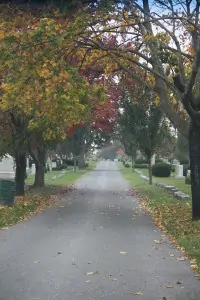 Historic Mount Olivet Cemetery in Frederick Md