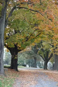 Historic Mount Olivet Cemetery in Frederick Md