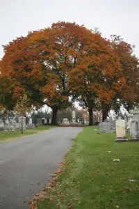 Historic Mount Olivet Cemetery in Frederick Md