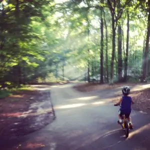 The Blog Days of Summer for the Mom Blogger