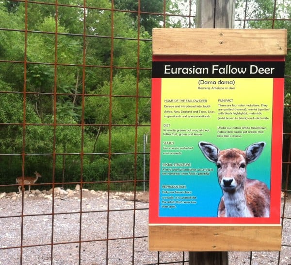 Catoctin Zoo How To Have An Awesome Day Trip Housewives of Frederick