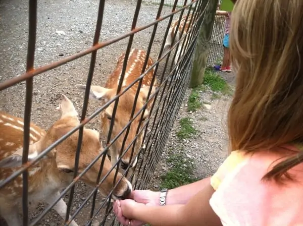 Catoctin Wildlife Preserve and Zoo