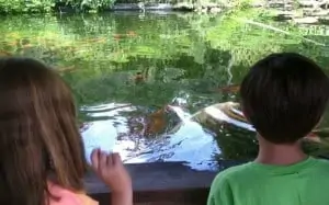 Catoctin Zoo: How To Have An Awesome Day Trip