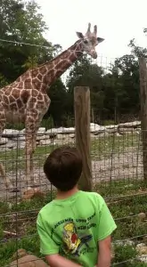 Catoctin Zoo: How To Have An Awesome Day Trip