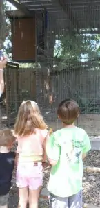 Catoctin Zoo: How To Have An Awesome Day Trip