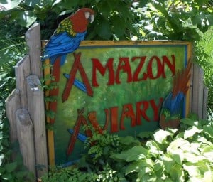 Amazon Aviary