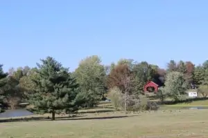 Scenic Drive in Frederick Md on Deer Spring Road