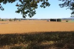 Beautiful farmland in Frederick County