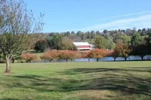 Farm on Deer Spring Road