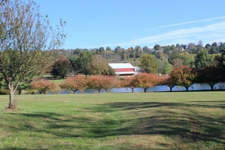 A Beautiful Scenic Drive in Frederick Md with My Momma Housewives of