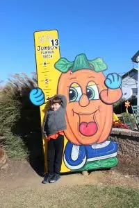 Jumbo's Pumpkin Patch: Your Inexpensive, Family Fun is Here!