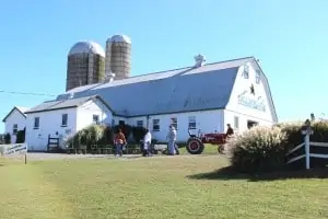 Jumbo's Pumpkin Patch: Your Inexpensive, Family Fun is Here!