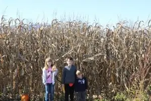 Jumbo's Pumpkin Patch: Your Inexpensive, Family Fun is Here!