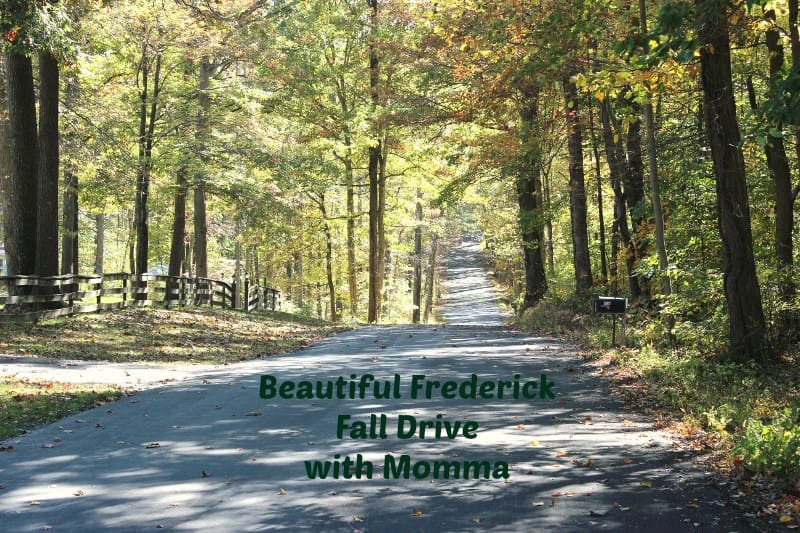 Beautiful Frederick Fall Drive with Momma