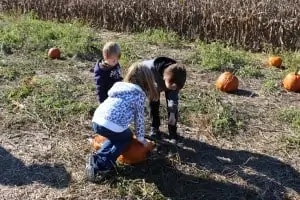 Jumbo's Pumpkin Patch: Your Inexpensive, Family Fun is Here!