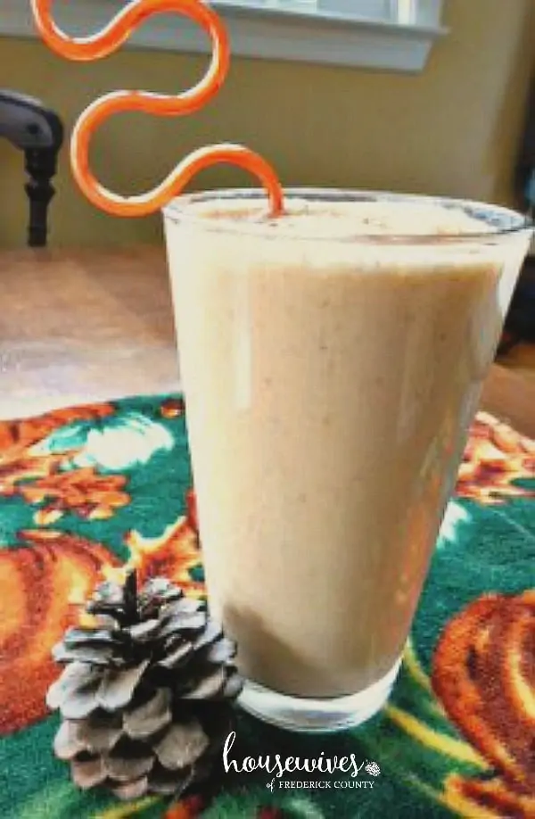 Pumpkin Smoothie - 8 Weight Watchers Points Plus Value