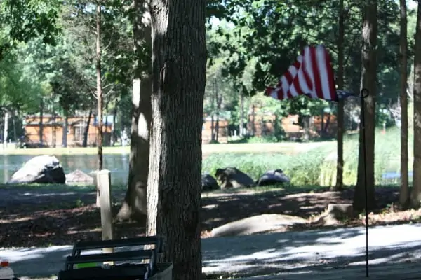 View of the pond from our site.