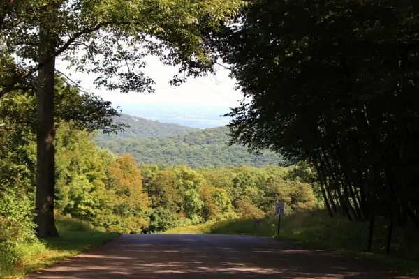 Cunningham Falls State Park: Get Back In Touch With Nature