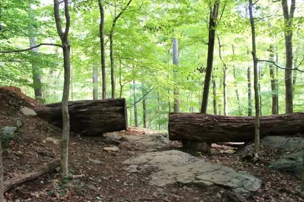 Cunningham Falls State Park: Get Back In Touch With Nature