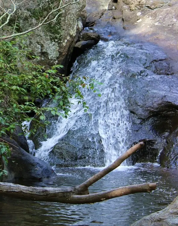 Cunningham Falls State Park: Get Back In Touch With Nature