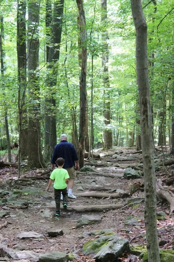 Cunningham Falls State Park: Get Back In Touch With Nature