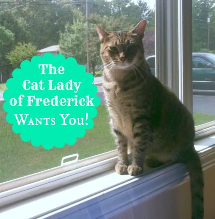The-Cat-Lady-of-Frederick-Wants-You!