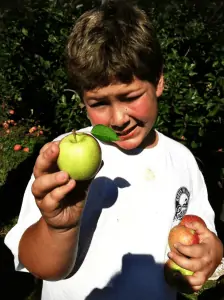sean with apple