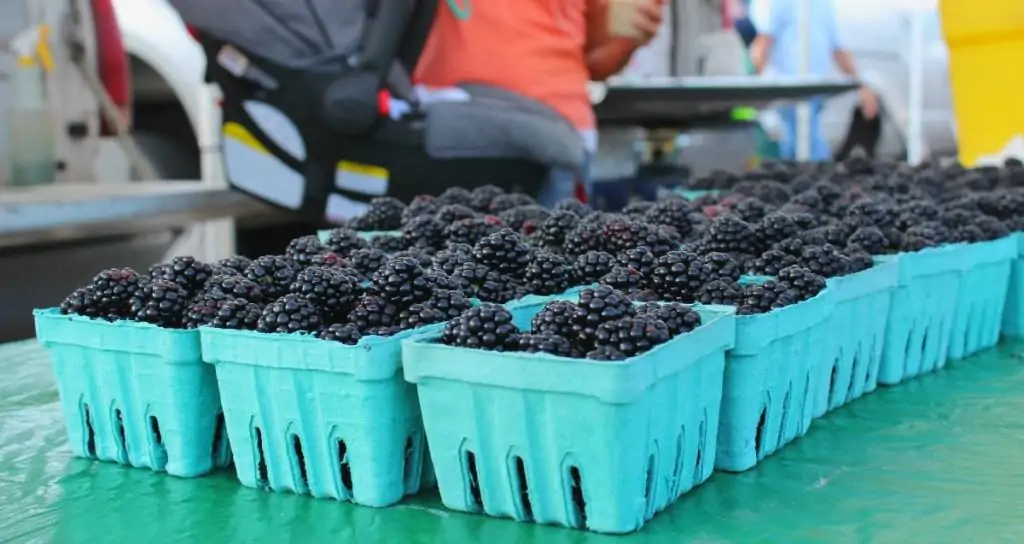 Farmers Markets in Frederick County Maryland