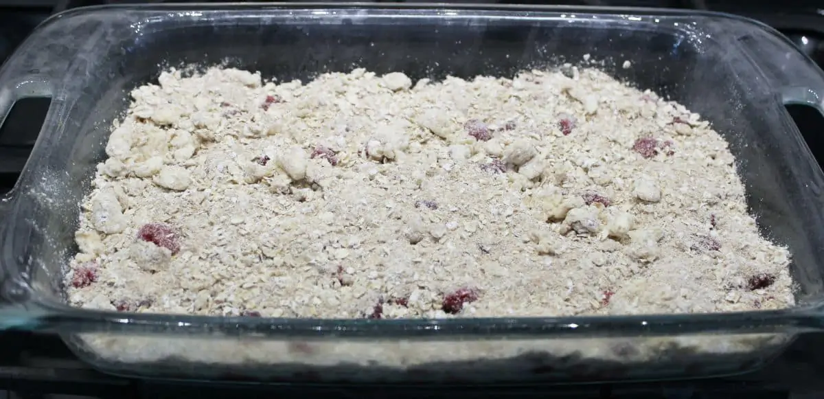 Raspberry Crisp - 7 Weight Watchers PPV