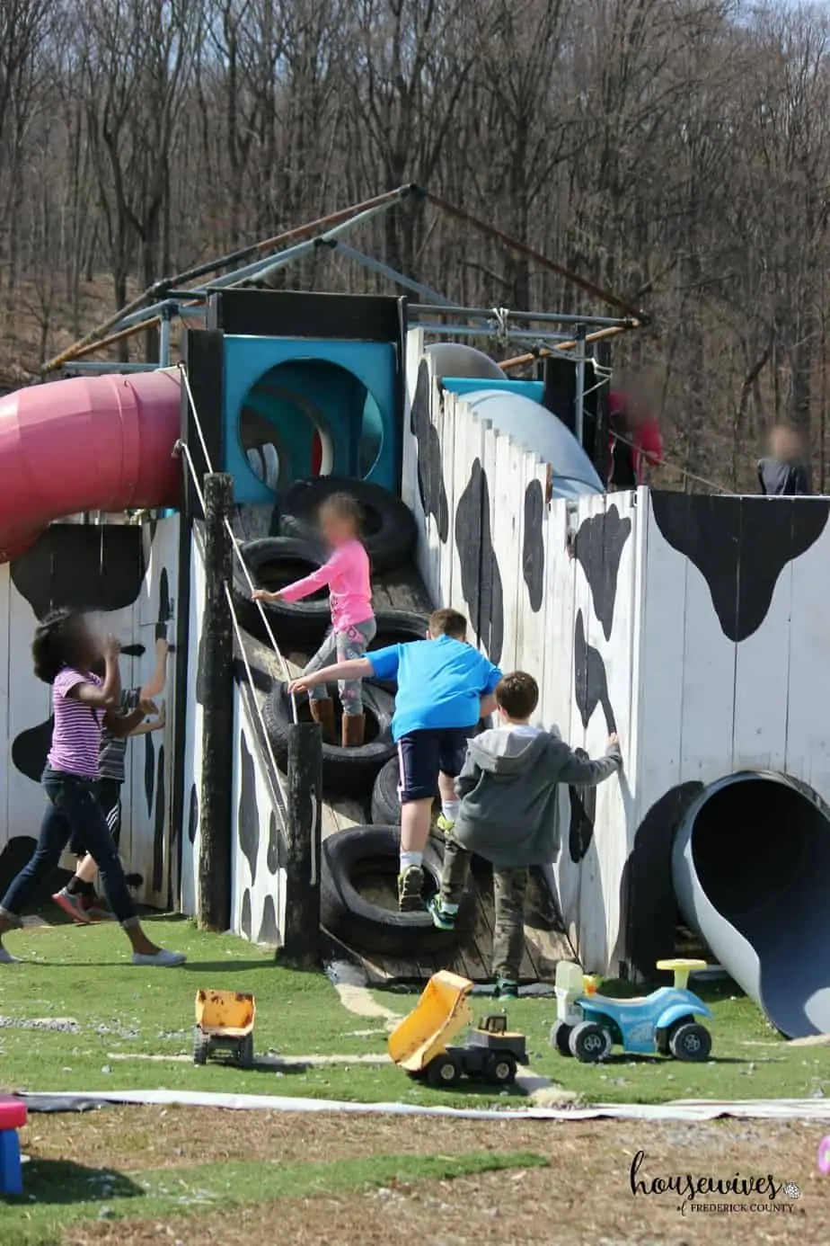 South Mountain Creamery - Cows, Ice Cream & More!