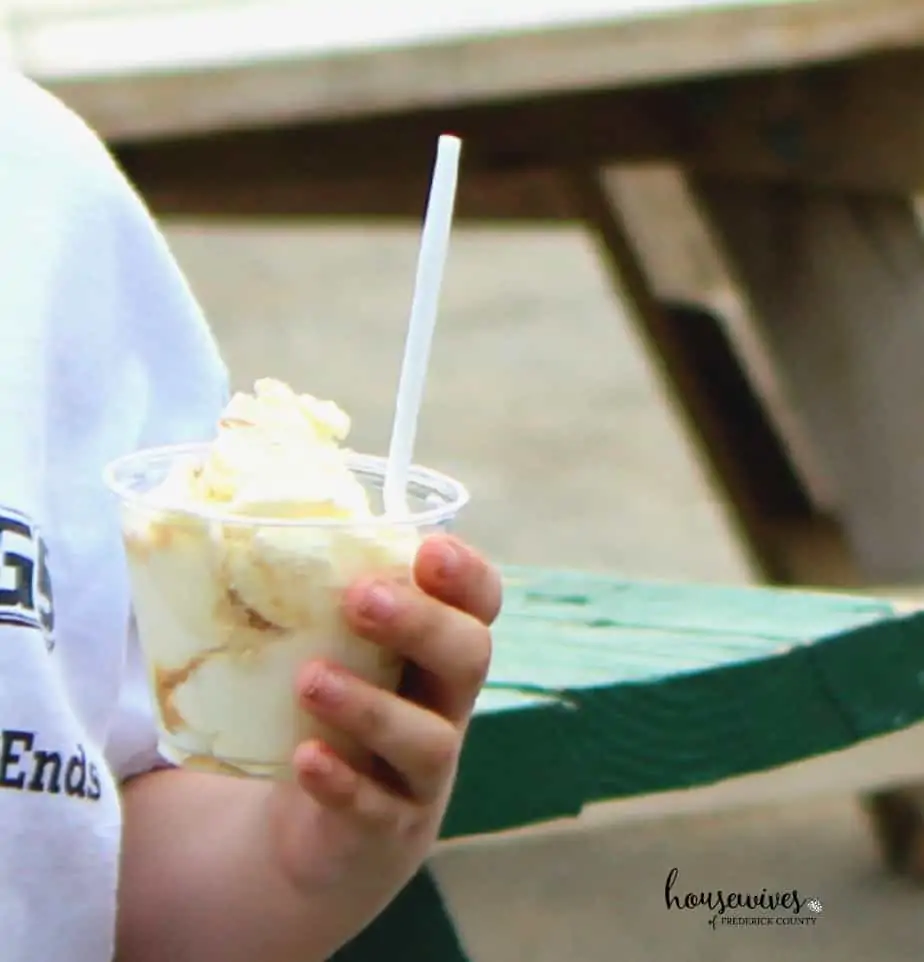 South Mountain Creamery - Cows, Ice Cream & More!