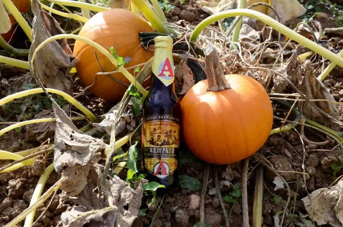 How to Make the Most of Fall: 17 Popular Fall Beers, Ciders & Ales