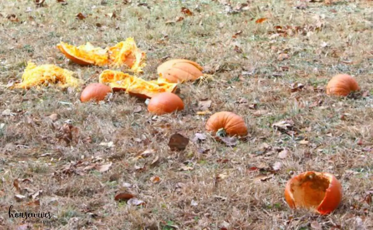 What is Pumpkin Chunkin?