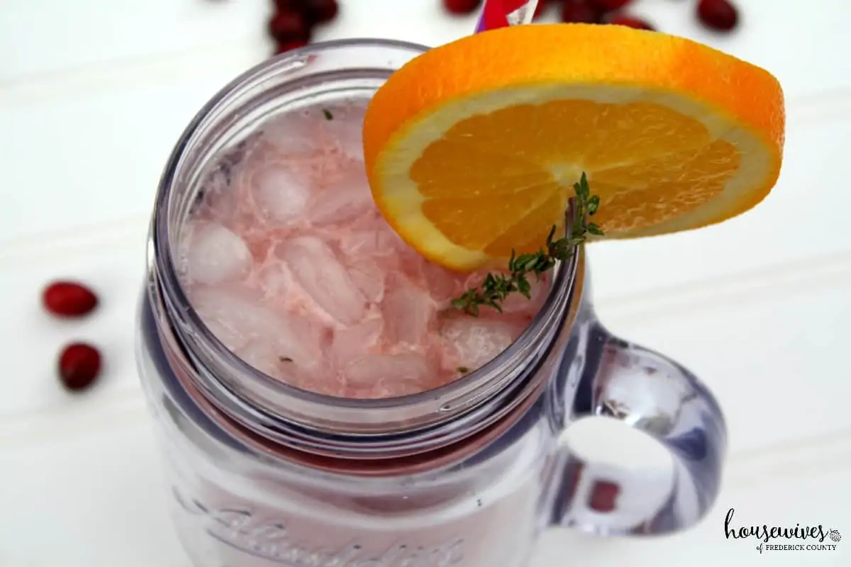 Cranberry Gin Cocktail with Ginger Ale