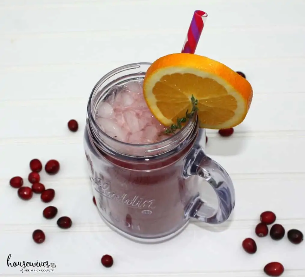 Cranberry Gin Cocktail with Ginger Ale