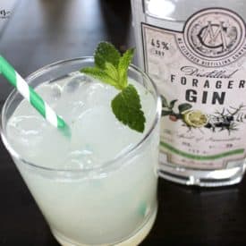 Thirsty Forager Gin Cocktail