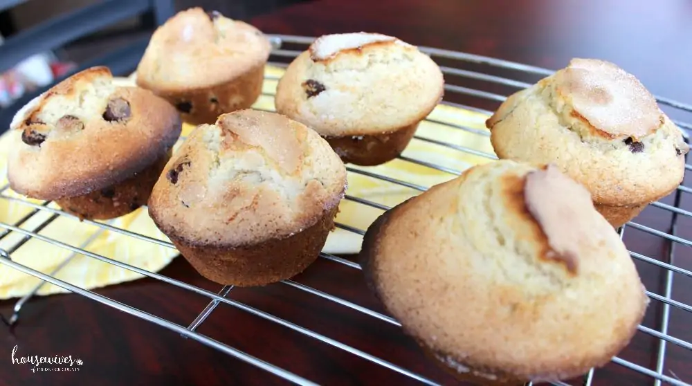 Easy Chocolate Chip Walnut Cookie Muffins