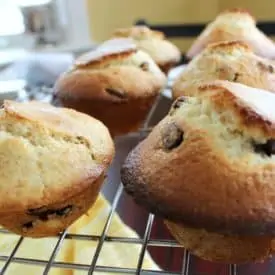 Easy Chocolate Chip Walnut Cookie Muffins