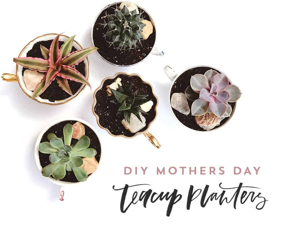 DIY Mother's Day Teacup Planters