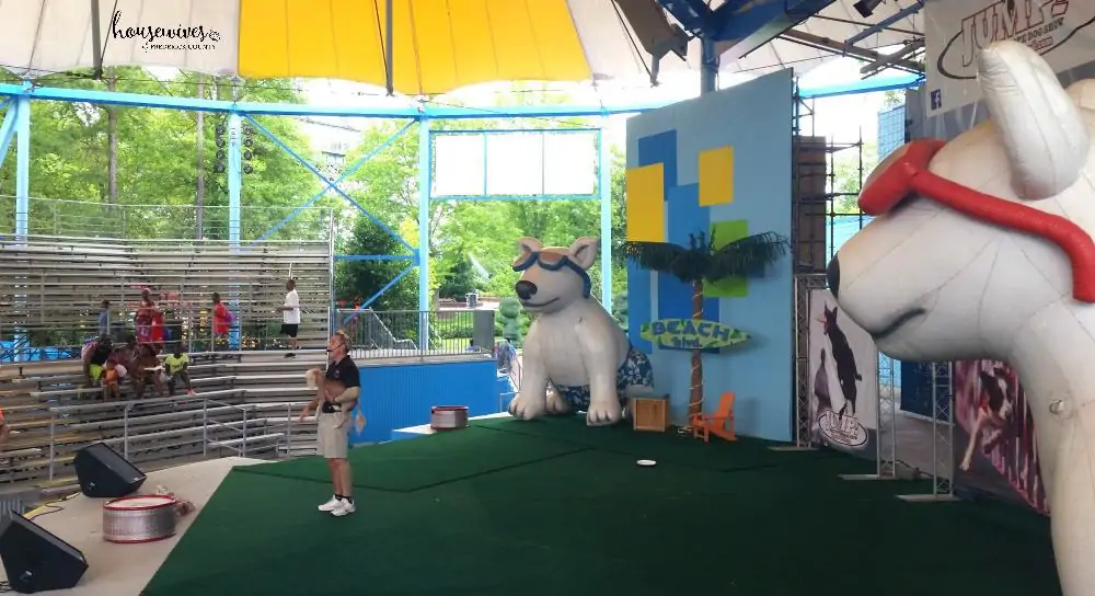 One of the many live shows at Soak City. 