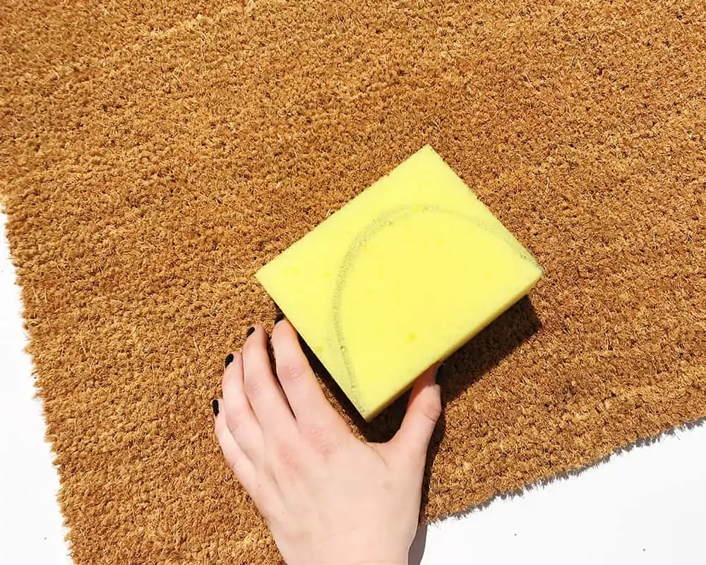 Cut your sponge to use to apply paint