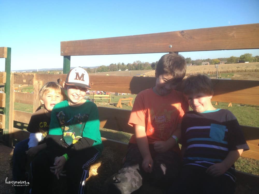 Hayrides Hayrides