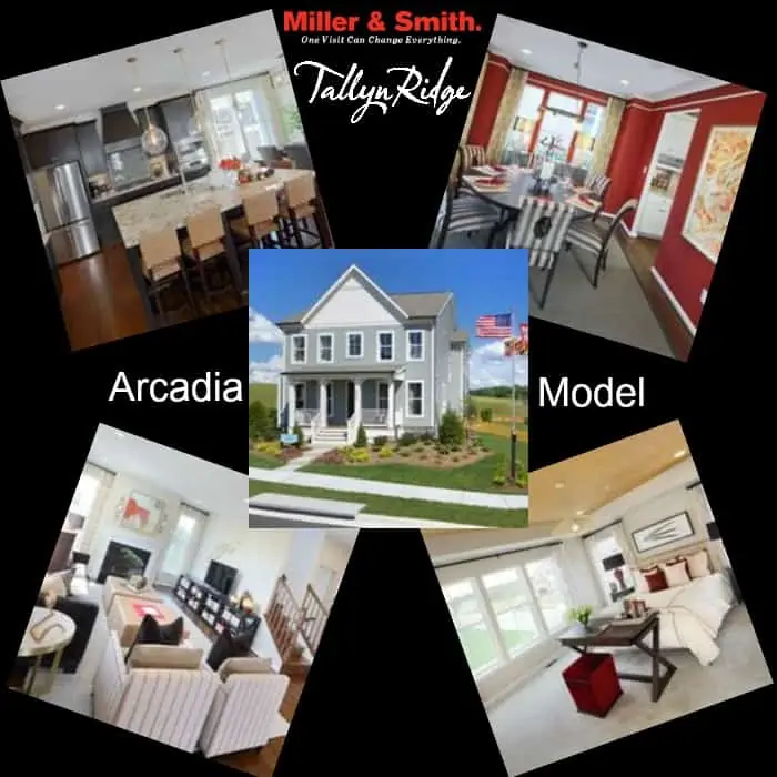 Arcadia Single Family Model Home at Tallyn Ridge