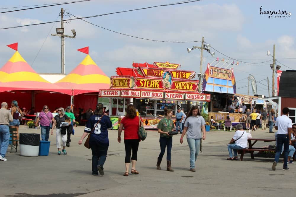 10 Reasons to Visit the Great Frederick Fair