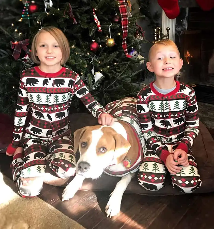 Matching pajamas with your dog